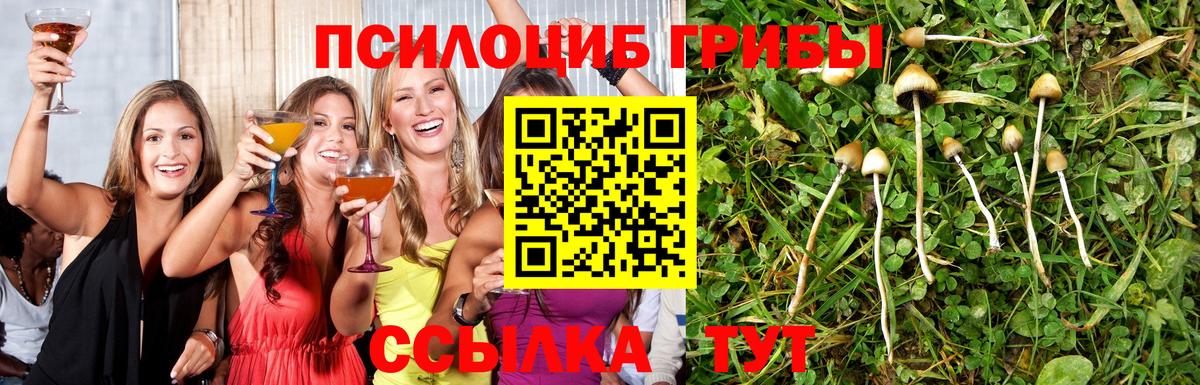 Галлюциногенные грибы GOLDEN TEACHER Домодедово
