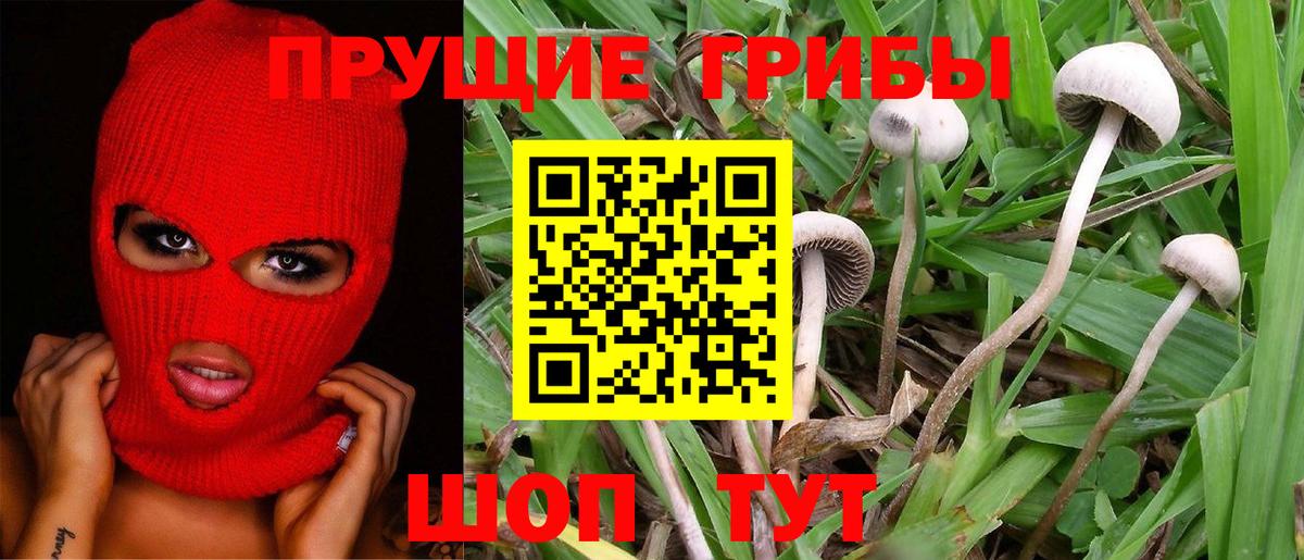 купить наркоту  Псилоцибиновые грибы мухоморы  Вход с VPN  Домодедово 